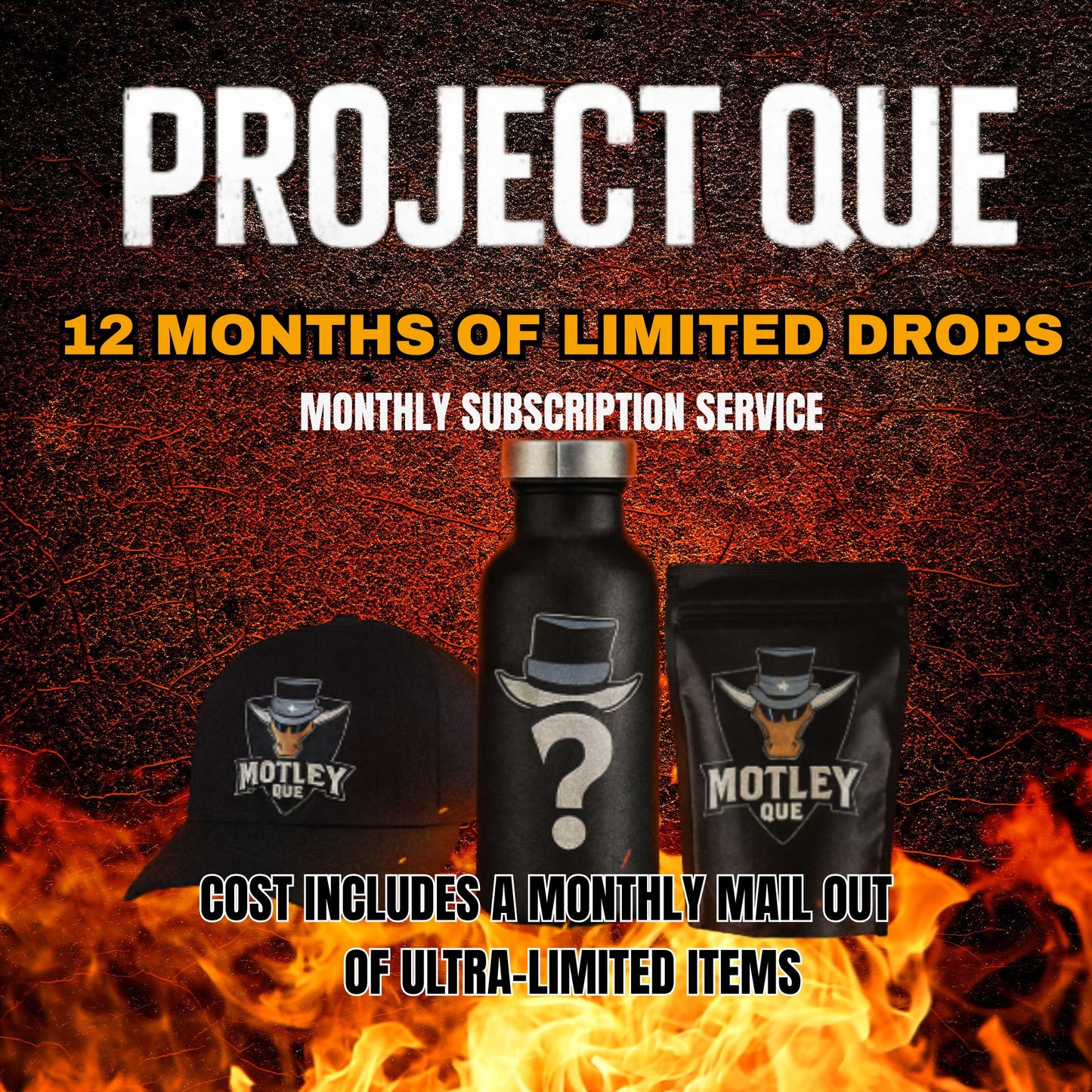 Project Que Subscription- (10 Months)